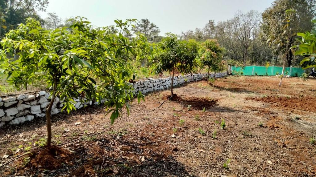 Investment land parcel